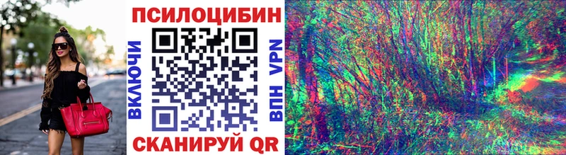 Псилоцибиновые грибы мухоморы сколько стоит Георгиевск